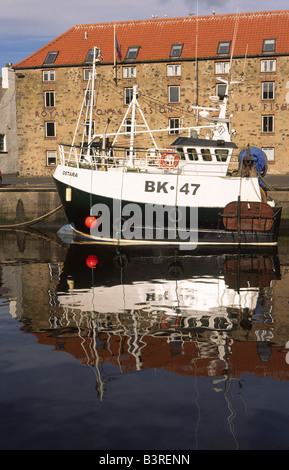 Angelboote/Fischerboote an einem ruhigen Morgen noch im malerischen Küste in Eyemouth Hafen Berwickshire schottischen Grenzen Scotland UK Stockfoto