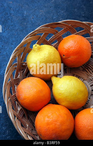 Orangen und Zitronen in einem Weidenkorb Stockfoto