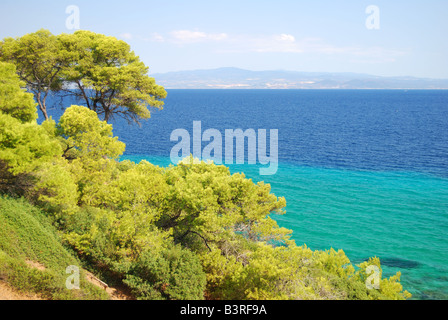 Küsten-Szene in der Nähe von Nea Fokea, Halbinsel Kassandra, Chalkidiki, Zentralmakedonien, Griechenland Stockfoto