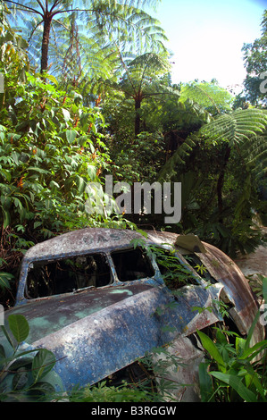 Cockpit des zerstörten DC3 Flugzeug im tropischen Regenwald in Kuranda in der Nähe von Cairns North Queensland No PR Stockfoto