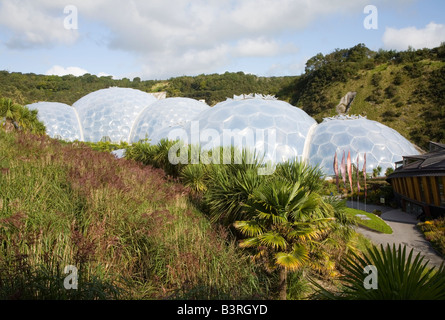 Die Biomes und der Kern mit Gräsern und Palmen im Vordergrund das Eden Project in Cornwall, England, Großbritannien Stockfoto