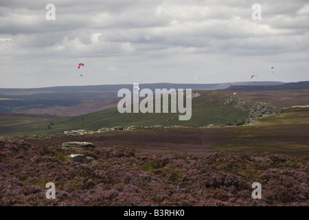 Lila Heidekraut auf Stanage Edge Stockfoto