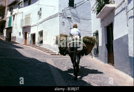 Ein Mann und Hund fahren ein Maultier durch eine typische Straße in die kleine Stadt Alcaraz in Albacete Provinz Süd-Ost-Spanien Stockfoto