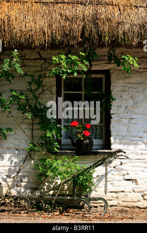 Reetdachhaus im Bunratty Folk Park, County Clare, Irland Stockfoto