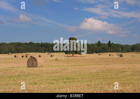 Hay bales on farmland east of Calgary, Alberta Stockfoto