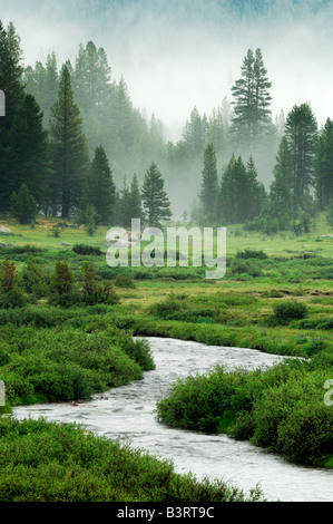 USA Kalifornien Yosemite National Park Tioga Pass Tuolumne river Stockfoto