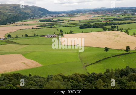 Ackerland auf dem Carse of Stirling fruchtbarem Ackerland neben dem Fluss Forth-Schottland Stockfoto