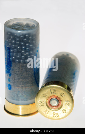 12 gauge Schrotflinte Patronen / Schalen Stockfoto