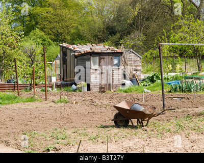 Ein Schuppen und Schubkarre auf einer Zuteilung in Mansfield, Nottinghamshire, England UK Stockfoto