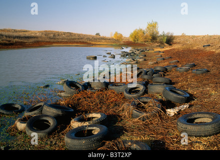 Gebrauchte Reifen in Teich geworfen verworfen. Stockfoto