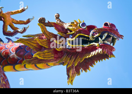 Dragon International Stadtteil Chinatown Seattle Washington USA Stockfoto