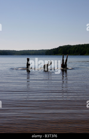 Deer Lake in Michigan USA drei Jungen Brüder Männer Kaukasier spielen Spaß im Wasser springen zu Wasser springen vertikal High-res Stockfoto