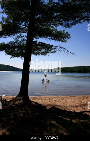 Deer Lake in Michigan USA drei Jungen Brüder Männer Kaukasier spielen Spaß im Wasser springen zu Wasser springen vertikal High-res Stockfoto