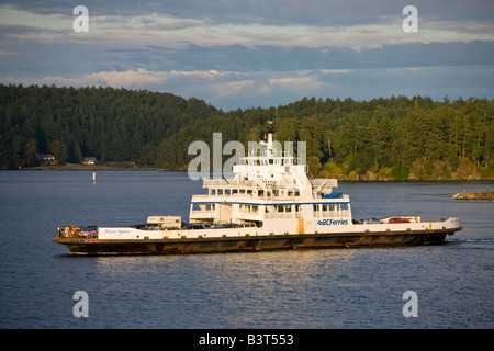 Mayne Königin der Cumberland Fähre verlassen Swartz Bay, Vancouver Island, British Columbia, Kanada Stockfoto