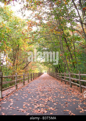 Eine Gemeinschaft, die zu Fuß Weg, durch den Wald in Farmington CT Aufnahme während der Falljahreszeit in Neu-England geht Stockfoto