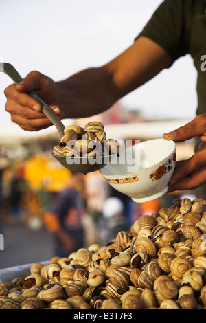 Marokko, Tanger. Schnecken für den Verkauf in einem der vielen Essensstände, die der Djemma el Fna abends zu füllen. Stockfoto