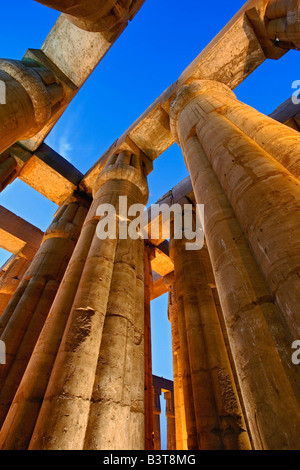 Himmelwärts Blick auf massiven Säulen bei Sonnenuntergang, Luxor-Tempel befindet sich am modernen Tag, Luxor oder antike Theben Stockfoto