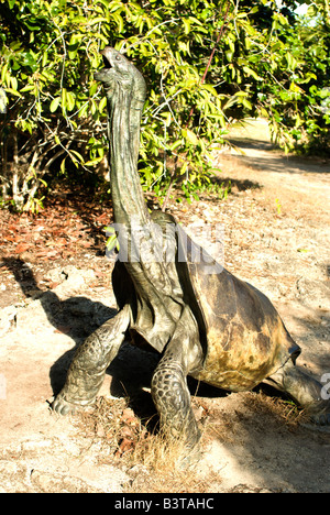 Mauritius, Ile Aux Aigrettes. Bronze-Skulptur des ausgestorbenen Rodrigues Riesenschildkröte, Cylindraspis Vosmaeri. Stockfoto