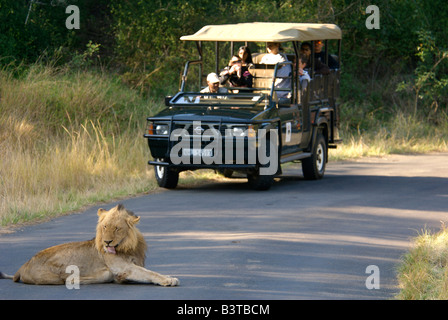 Afrika, Südafrika, KwaZulu Natal, Touristen, die Löwen im Hluhluwe-Umfolozi-Nationalpark anzeigen Stockfoto