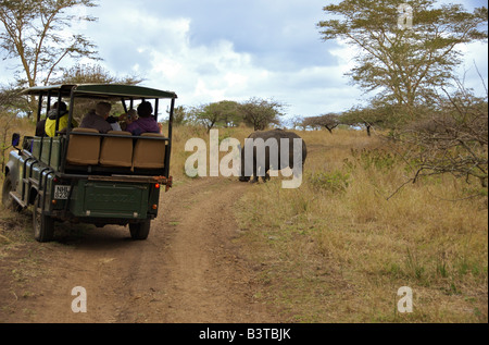 Afrika, Südafrika, KwaZulu Natal, Hluhluwe, Touristen auf Safari white Rhino in Zulu Nyala Game Reserve Stockfoto