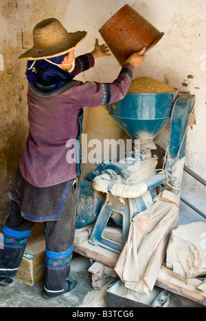 Asien, China, Yunnan Provinz, Yuanyang. Hani Frau Prozesse Korn mit Getreidemühle in Shengcun Dorf. Stockfoto