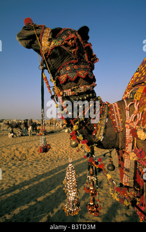 Asien, Indien, Pushkar. Kamel Shamu in Pushkar Kamel-Festival. Stockfoto