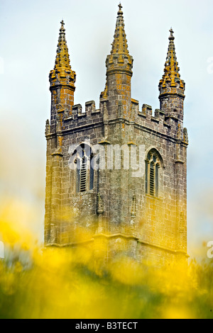 England, Dartmoor. Buttercups vor Widecombe-in-the-Moor-Kirche. Stockfoto
