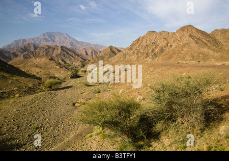 Oman, östlichen Hajar-Gebirge, Bidbid. Morgendliche Aussicht des östlichen Hajar-Gebirges Stockfoto