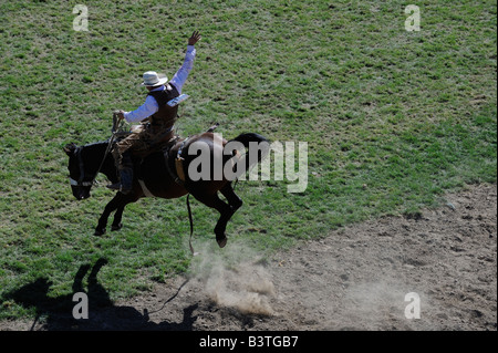 Amerikanische professionelle Cowboy Reiten unruhiges Wildpferd der Sattel in der Luft wilden Ritt hart wiley Pferd kaukasischen weiß Stockfoto