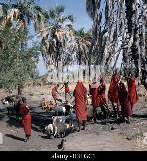 Tansania, Norden von Tansania, Manyara. Eine Gruppe von rot gekleideten Datog versammeln sich um Wasserbrunnen befinden sich neben Doum Palmen (Hyphaene Coriacea) auf der Ostseite des Sees Manyara.The Datog (den Maasai Nachbarn als die Mang'ati und die Iraqw als Babaraig bekannt) live im Norden von Tansania und sind vor allem Hirten. Stockfoto