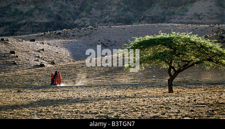 Tansania, Norden von Tansania, dieSehnsuchtnach Sero. Massai-Frauen schnell nach Hause über karge vulkanische Land in den letzten Strahlen der untergehenden Sonne. Stockfoto