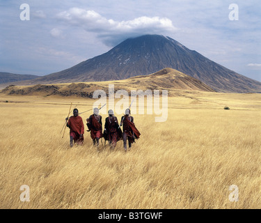 Tansania, Norden von Tansania, Maasai Krieger schreiten über die goldenen Grasebenen am Fuße des Ol Doinyo Lengai - die Massai "Berg Gottes". OL Doinyo Lengai ist der einzige aktive Vulkan in Gregory Rift, ein wichtiger Abschnitt der östlichen Zweig der afrikanischen Great Rift Valley-System, das erstreckt sich vom Norden Kenias in nördlichen Tanzania.Ol Oldoinyo Lengai 7000 Fuß steigt über die umgebenden Ebenen 9.400 Fuß hoch zu stehen. Die explosive Eruption fand im Jahr 1966, aber viele kleinere Eruptionen innerhalb der Gipfelkrater seit 1983 stattgefunden haben. Stockfoto