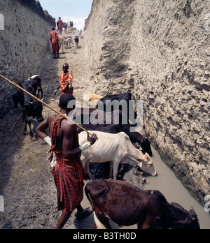 Tansania, Norden von Tansania, Tiefe Maasai Brunnen am Loibor Serrit wo Rinder Wege tief in den Boden Tiere näher an der Quelle des Wassers ermöglichen geschnitten werden. Trotz dieser immensen Menge Handarbeit die meisten Brunnen sind Vierer-Brunnen - das heißt vier Fit, junge Männer sind notwendig, um Wasser in die Lager Tröge etwa 30 Fuß oberhalb des Wasserspiegels an der Unterseite der Hand gegrabenen Brunnen zu bringen. Stockfoto
