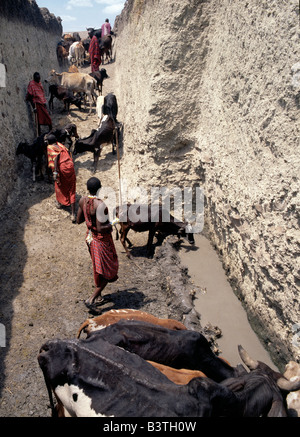 Tansania, Norden von Tansania, Tiefe Maasai Brunnen am Loibor Serrit wo Rinder Wege tief in den Boden Tiere näher an der Quelle des Wassers ermöglichen geschnitten werden. Trotz dieser immensen Menge Handarbeit die meisten Brunnen sind Vierer-Brunnen - das heißt vier Fit, junge Männer sind notwendig, um Wasser in die Lager Tröge etwa 30 Fuß oberhalb des Wasserspiegels an der Unterseite der Hand gegrabenen Brunnen zu bringen. Stockfoto