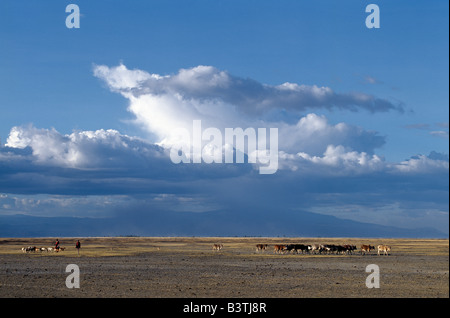 Tansania, Norden von Tansania, Manyara. Mit Gewitterwolken sammeln über dem Ngorongoro Hochland, A Datog Frau und ihr Sohn Antrieb ihre Familie Vieh nach Hause am späten Nachmittag über die grasbewachsenen Ebenen westlich von Lake Manyara National Park. Stockfoto