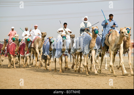 Vereinigte Arabische Emirate, Dubai, Al Marqadh. Dubai-Kamelrennen Track - Kamelrennen Stockfoto