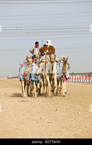 Vereinigte Arabische Emirate, Dubai, Al Marqadh. Dubai-Kamelrennen Track - Kamelrennen Stockfoto