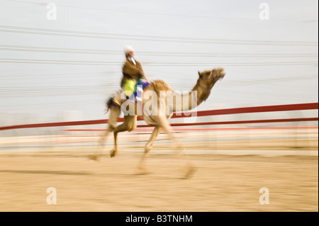 Vereinigte Arabische Emirate, Dubai, Al Marqadh. Dubai-Kamelrennen Track - Kamelrennen Stockfoto