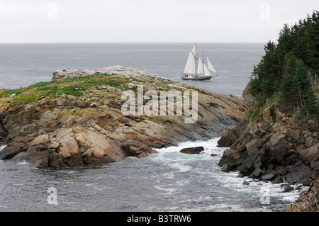 Whale Watching Touren auf einem Großsegler, mittleren Kopf, Cape Breton Highlands National Park, Cape Breton, Nova Scotia Stockfoto