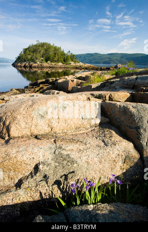 Der Saguenay River von der Pier in Dorf Petit-Saguenay gesehen. Stockfoto