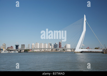 Erasmusbrücke in Rotterdam, Niederlande Stockfoto