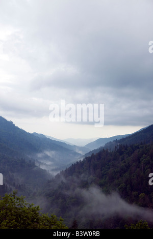 Nebel und Wolken schweben über der Great Smoky Mountains National Park, Tennessee, 8. Juli 2008 Stockfoto