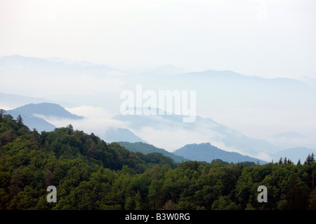 Nebel und Wolken schweben über die Hügel in Great Smoky Mountains National Park, Tennessee, 8. Juli 2008 Stockfoto