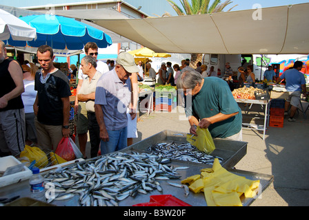 Fisch-stall, Straßenmarkt, Nea Moudania, Chalkidiki, Zentralmakedonien, Griechenland Stockfoto