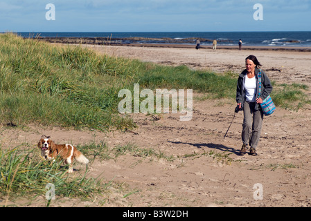 Frau, die einen Hund am Strand spazieren gehen Stockfoto