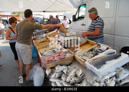 Fisch-stall, Straßenmarkt, Nea Moudania, Chalkidiki, Zentralmakedonien, Griechenland Stockfoto