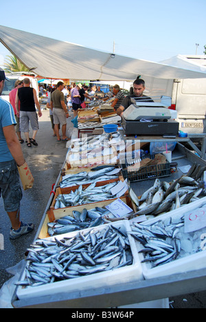 Fisch-stall, Straßenmarkt, Nea Moudania, Chalkidiki, Zentralmakedonien, Griechenland Stockfoto