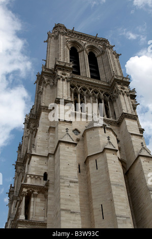 Kathedrale Notre-Dame auf der Île De La Cité in Paris gesehen, aus dem südlichen Ufer der Seine Stockfoto