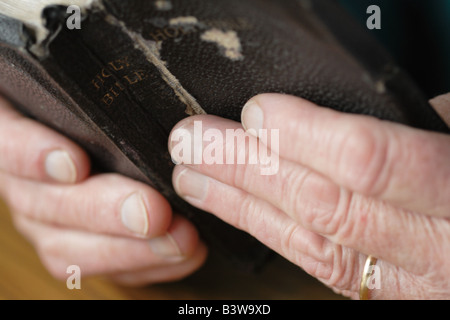 alte Dame liest die Bibel Stockfoto