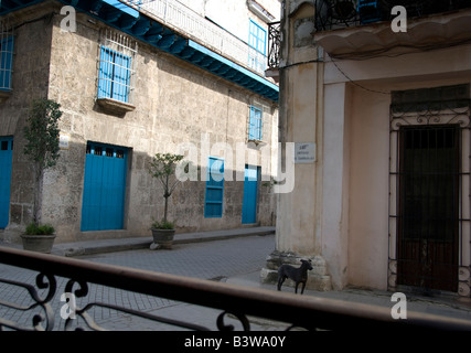 Straße Schüsse La Havana Stockfoto